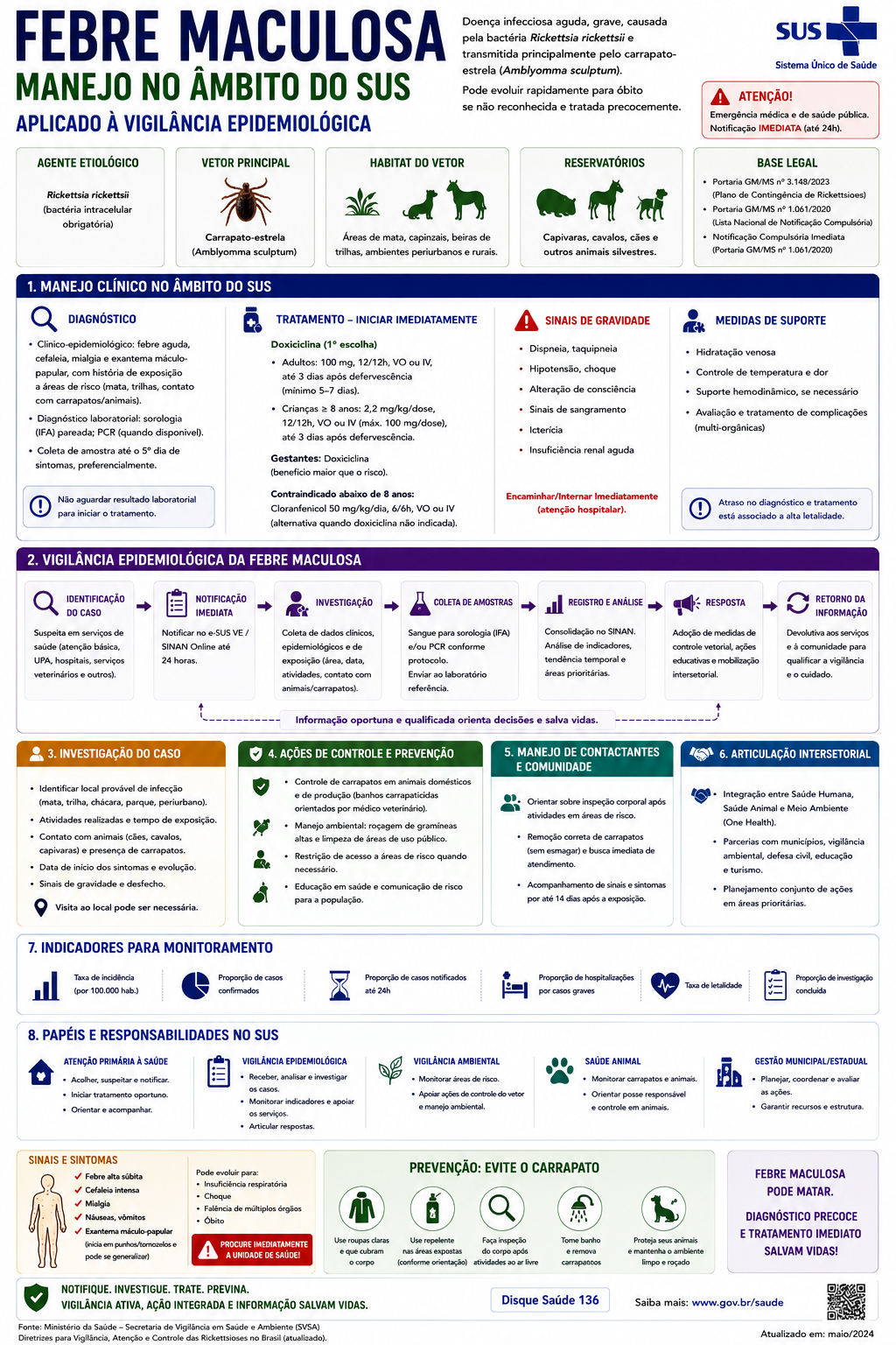 Infográfico Febre Maculosa