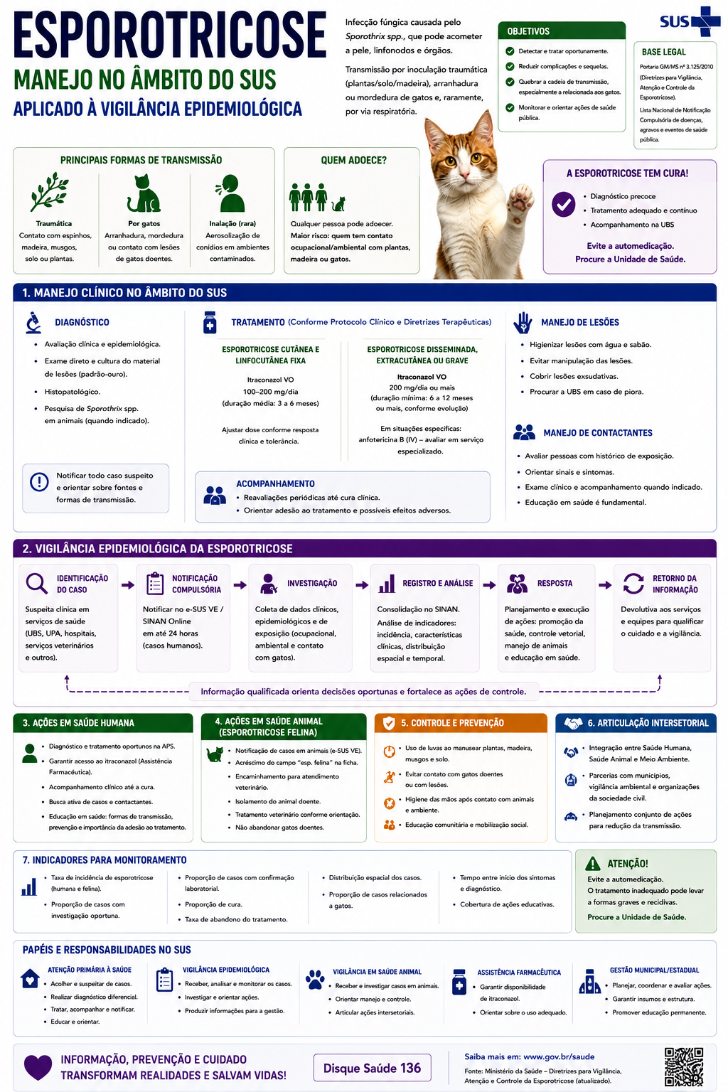 Infográfico Esporotricose