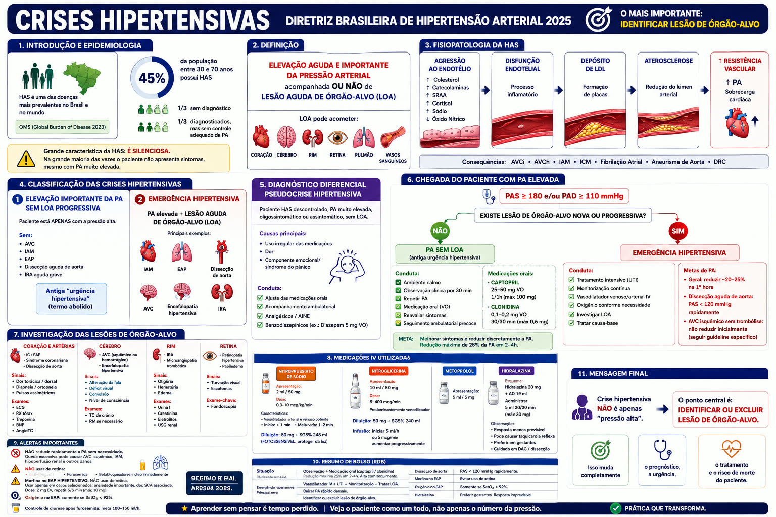 📊 Infográfico — visão geral