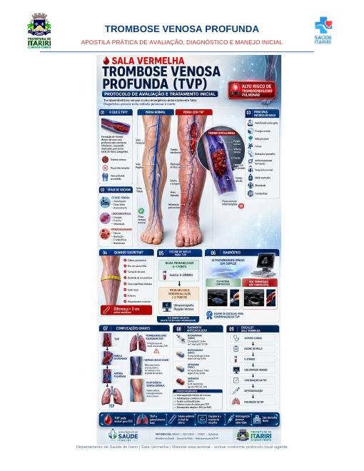 Capa da apostila ilustrada de Trombose Venosa Profunda